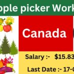 Apple picker Canada