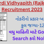 Gardi Vidhyapith (Rajkot) Recruitment 2023