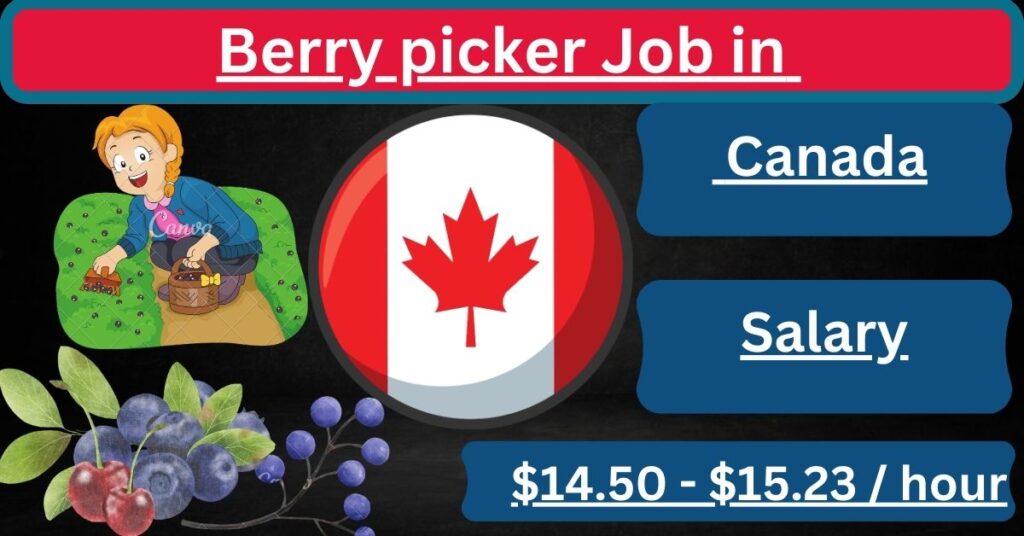 Berry picker Job in Canada