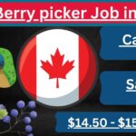 Berry picker Job in Canada