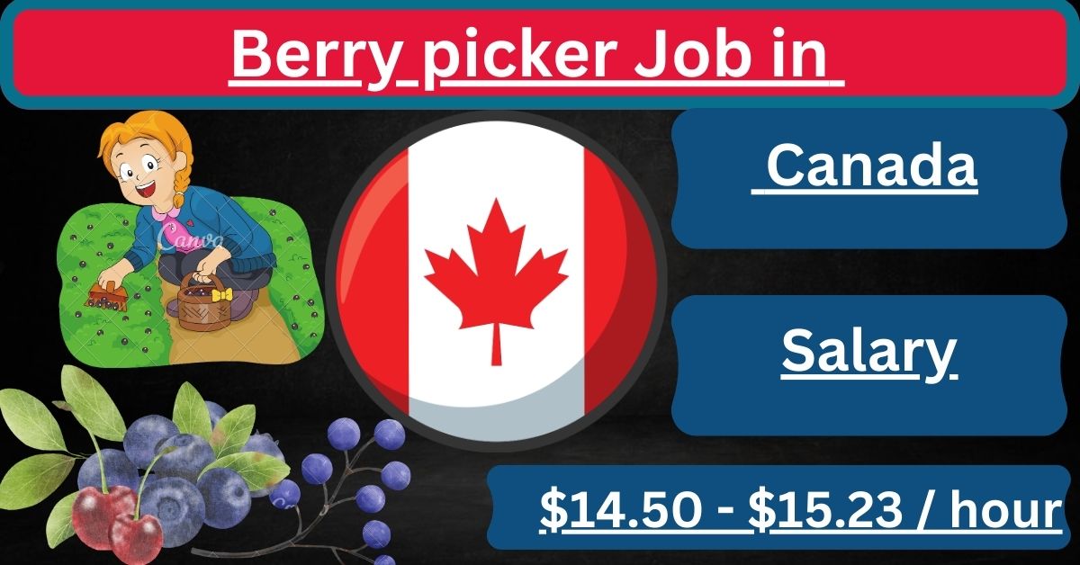 Berry picker Job in Canada