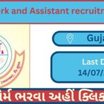 Junior Clerk and Assistant recruitment 2023