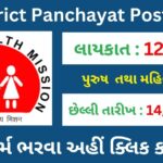 District Panchayat Post 2023