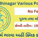 IIT Gandhinagar Various Post 2023