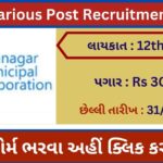 JMC Various Post Recruitment 2023