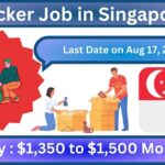 Packer Job in Singapore