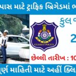 10th Pass Traffic Brigade Post 2023