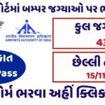 AAI Cargo Assistant Post