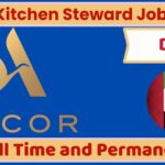 Kitchen Steward Job in Dubai