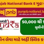 PNB E Mudra Loan