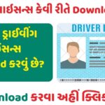 How To Download Driving License