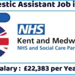 Domestic Assistant Job in UK
