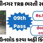 Traffic Brigade Volunteer Recruitment