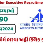 AAI Junior Executive Post