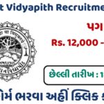 Gujarat Vidyapith Recruitment 2024