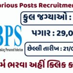 IBPS Various Posts Recruitment 2024