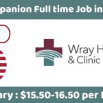 Companion Job in USA