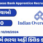 Indian Overseas Bank Apprentice Recruitment 2024