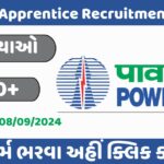 PGCIL Apprentice Recruitment 2024