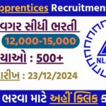 NLC Recruitment 2024