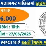 AMC Recruitment 2025