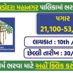 VMC Vadodara Recruitment 2025