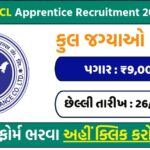 NIACL Apprentice Recruitment 2025: Apply Online for 500 Nationwide Vacancies