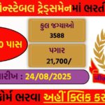 🛡️ BSF Constable Tradesman Recruitment 2025 – Apply Online for 3,588 Posts