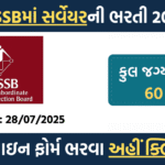 GSSSB Surveyor Class-3 Recruitment 2025: Apply Online for 60 Vacancies | Advt. No. 325/202526