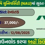 🌱 NAU Surat Cotton Recruitment 2025 – Apply for SRF, Young Professional & Contract Staff (6 Posts)