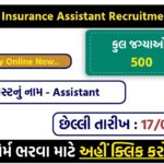 🔔 Oriental Insurance Assistant Recruitment 2025: Apply Online for 500 Class III Vacancies