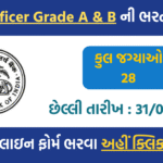 🏦 RBI Officer Grade A & B Recruitment 2025: Apply Now for 28 Posts @www.rbi.org.in