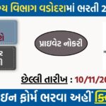 NHM Vadodara Recruitment 2025 – Apply Online for Various Contractual Posts