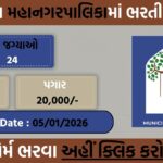 VMC Recruitment 2026: Walk-in Interview for 24 Lifeguard cum Trainer Posts