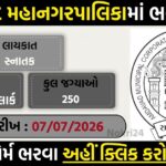 AMC Assistant Senior Clerk Recruitment 2026: 250 पदों पर ऑनलाइन आवेदन शुरू